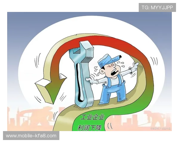 凯发FB体育：合作伙伴与品牌背后的实力支撑分析