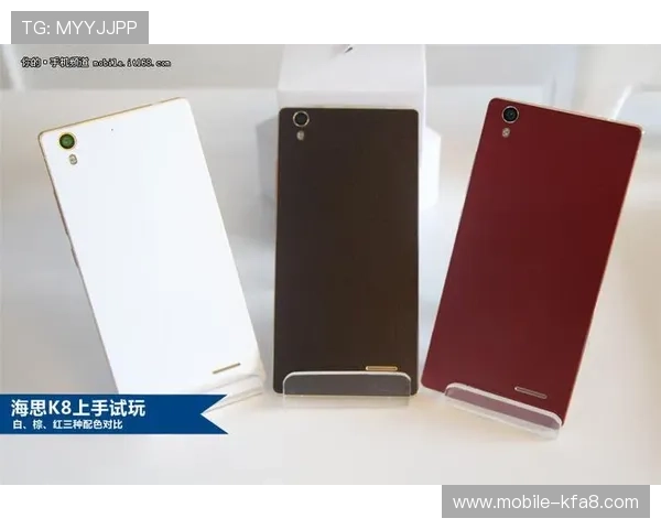 全面解析k8旗舰厅登录入口的安全保障措施，帮助玩家识别正规入口，保障账号安全与游戏体验