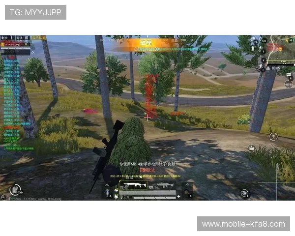 探索K8.com凯发网址官方网站丰富的游戏种类与优质的客户服务体验指南