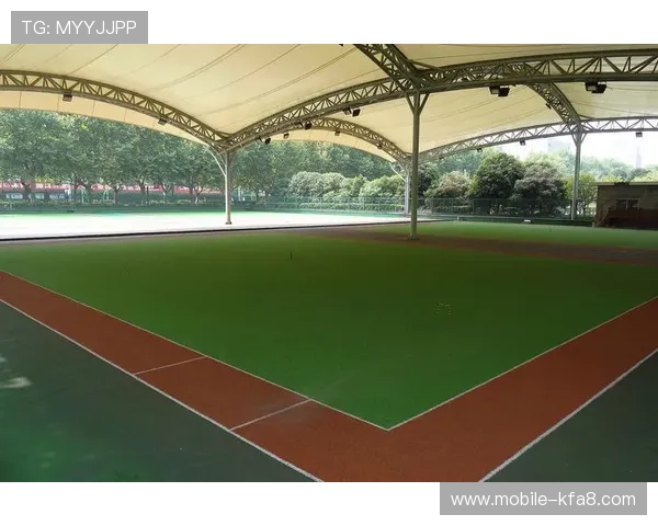 如何根据比赛场地选择合适的世界杯用球，提升比赛体验与运动员表现