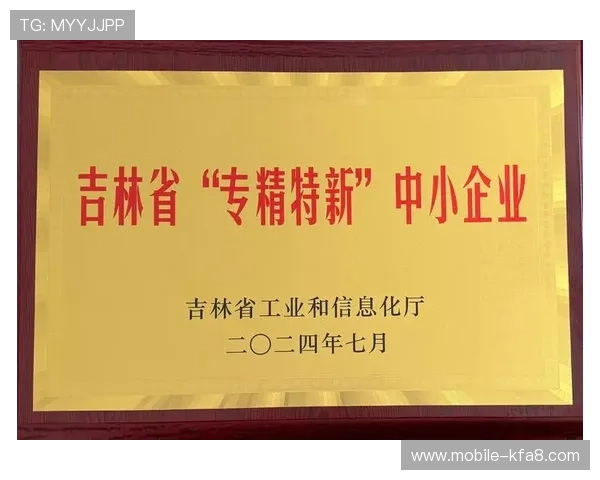 凯发k8中国天生赢家平台安全保障措施及用户隐私保护策略全面解析 凯发k8中国天生赢家平台安全保障措施及用户隐私保护策略全面解析